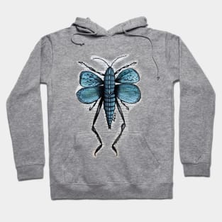 The Bug Hoodie